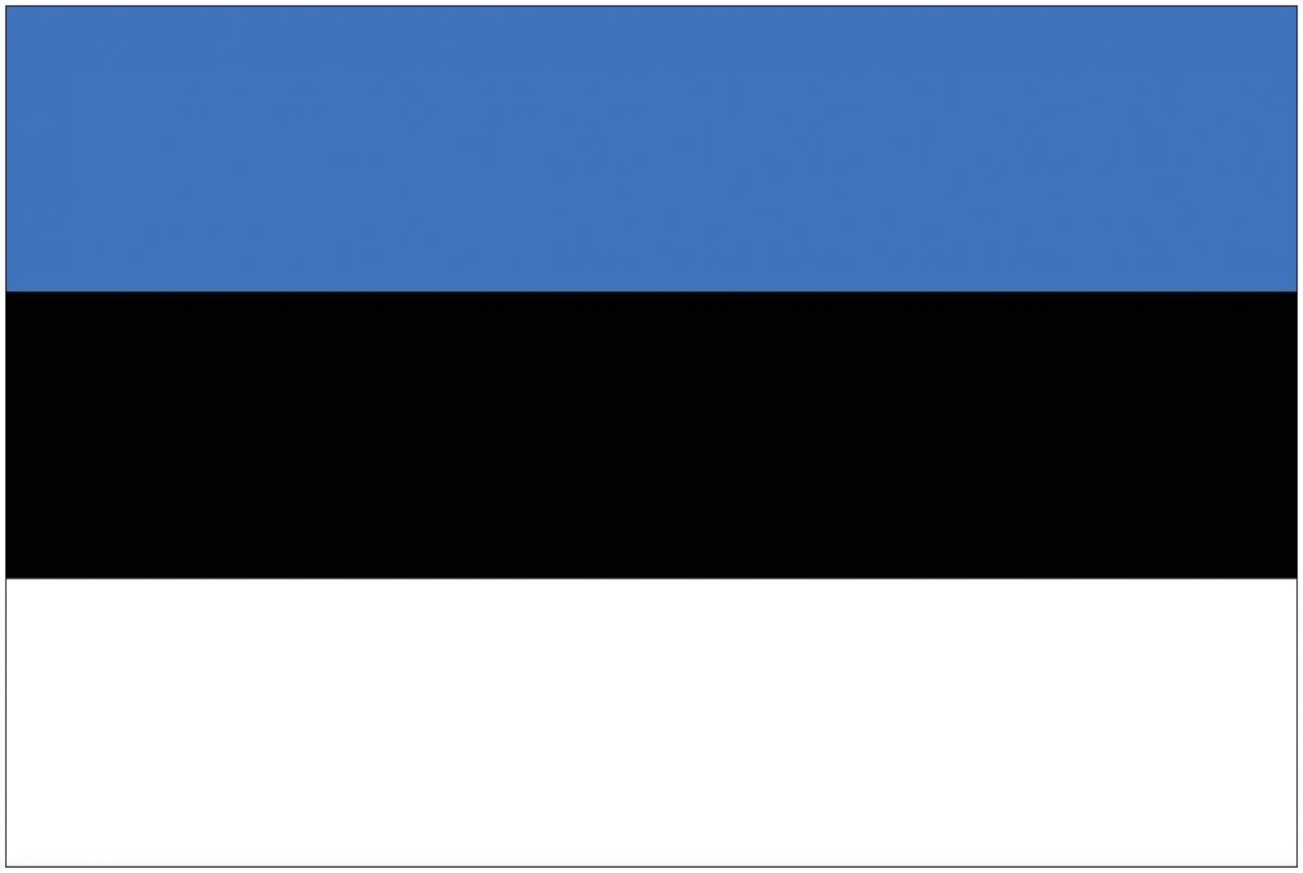 знаме на естония