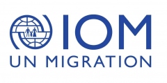 IOM_Vis_Logo_Blue